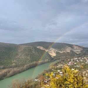 Meet your Posher, Bailey